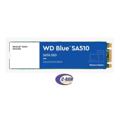 SSD Disco 1Tb Blue SA510  Sata M 2 2280 WD