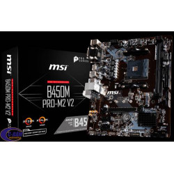 Placa Madre AMD SKT AM4 B450M PRO-M2 V2 MSI 