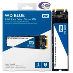 Disco SolidoSSD 1TB W  Digital Blue SATA M 2 2280 