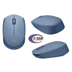 Mouse Inalámbrico M170  2 4Ghz Azulado Gris