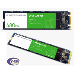 SSD Disco 480Gb Green  M 2 2280 545Mb/s WD