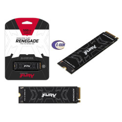 Unidad SSD Renegade 2000GB PCIe 4 0 NVMe M 2 