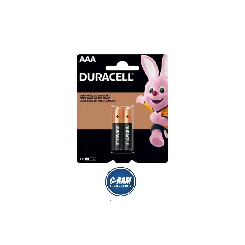 Pack 2 Pilas Alcalinas AAAx2 1 5V Duracell