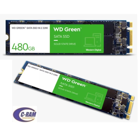 SSD Disco 480Gb Green  M 2 2280 545Mb/s WD