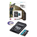 Memoria Micro SDXC 256GB 170MB /s Canvas Go Plus