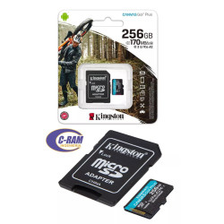 Memoria Micro SDXC 256GB 170MB /s Canvas Go Plus