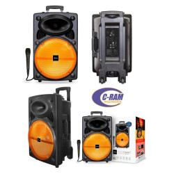 Parlante 3000 Wats RhythmCharger2 12” Wireless BT