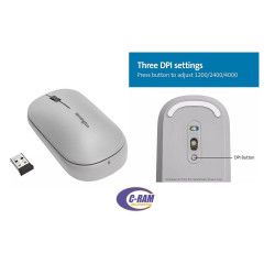 Mouse Dual Kensington Suretrack Gris