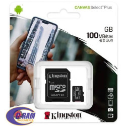 Memoria Micro SD256GB 100MB /s Canvas Select Plus 