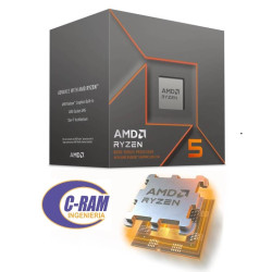 CPU AMD Ryzen 5 8500G  3 5GHz  5 0 GHz Turbo   AM5